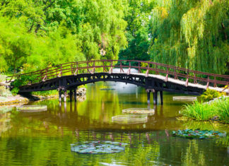 Ogród w japońskim stylu