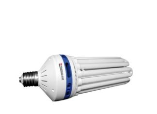 Światło niezbędne do życia Lampy CFL