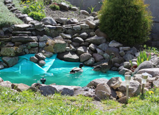 Zakładamy oczko wodne. Co należy wiedzieć przed rozpoczęciem prac? Zakładamy oczko wodne. Co należy wiedzieć przed rozpoczęciem prac?