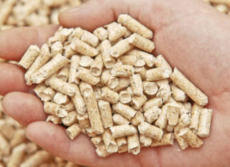 pellet