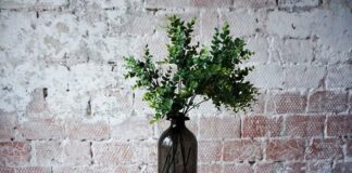 Tapety w stylu skandynawskim: jakie wzory wybrać i jak je dopasować do wystroju. Jak wykonać malowanie natryskowe: krok po kroku.