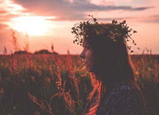 Jakie gałęzie na stroiki?