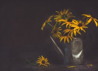 Co do podlewania ogrodu? Co do podlewania ogrodu?