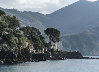 Ile kosztuje jedna sekcja nawadniania? Ile kosztuje jedna sekcja nawadniania?