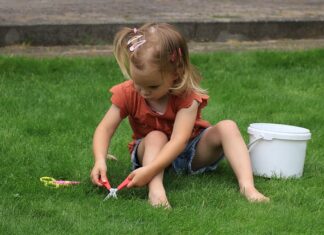 Czy trzeba zbierać trawę po koszeniu?