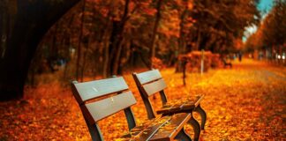 Jaka ławka do ogrodu?