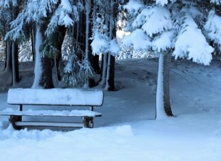 Jaka Ławeczka na początek?