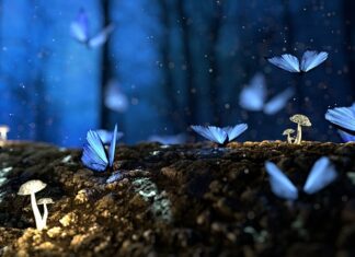 Czym zastąpić drewno na elewacji? Czym zastąpić drewno na elewacji?