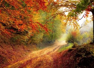 Ile spadku na daszku?