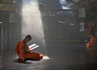 Jak mierzyć szczotki węglowe? Jak mierzyć szczotki węglowe?