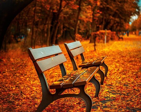 Jaka najlepsza wysokość ławki?