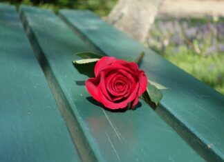 Jak zrobić ławkę do ogródka? Jak zrobić ławkę do ogródka?