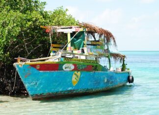 Ile kosztuje wymiana uszczelniaczy w pile spalinowej?