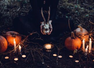 Jak zrobić dynię z papieru toaletowego? Jak zrobić dynię z papieru toaletowego?