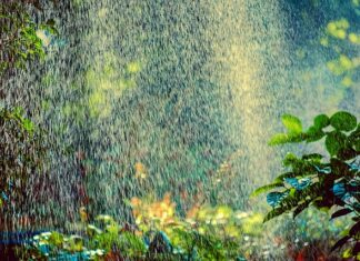 Ile zraszaczy na 1000m2? Ile zraszaczy na 1000m2?