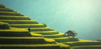 Jak zadaszyć duży taras?