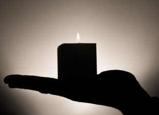 Jakie drewno daje najwięcej ciepła? Jakie drewno daje najwięcej ciepła?