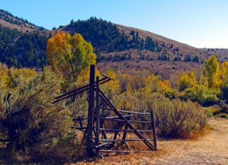 Jak wygląda siding?