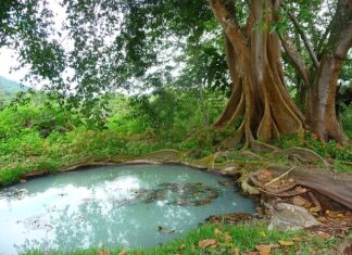 Czy szambo może przeciekać?
