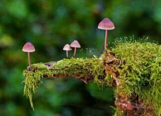 Ile kosztuje wymiana gąbki w kanapie? Ile kosztuje wymiana gąbki w kanapie?